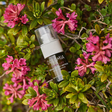 Laden Sie das Bild in den Galerie-Viewer, Dolomia Flora Lift Augencreme – Natürliche Lifting-Pflege für einen entspannten und strahlenden Blick. Erhältlich im Shop der Helios Apotheke Klosters.